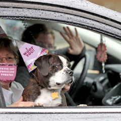 MOTORCADE PARADE OF THERAPY DOGS FOR FRONTLINE HOSPITAL WORKERS in RI!