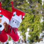 Holiday Pet Stocking Drive for Homebound Seniors!